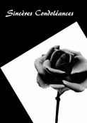 Roses sombres pour pens&eacute;es sinc&egrave;res